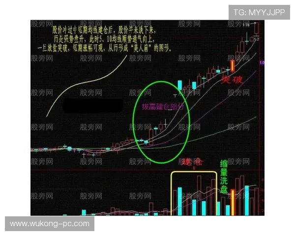帕尔默爆发力缺乏：如何体现在比赛节奏与突破效率