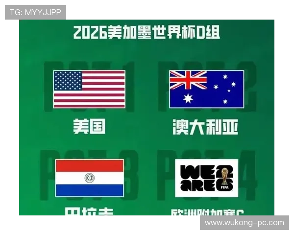 2026世界杯东道主球队整体实力排名