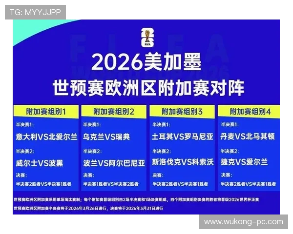 波黑2026世界杯预选赛赛程分析及出线前景预测